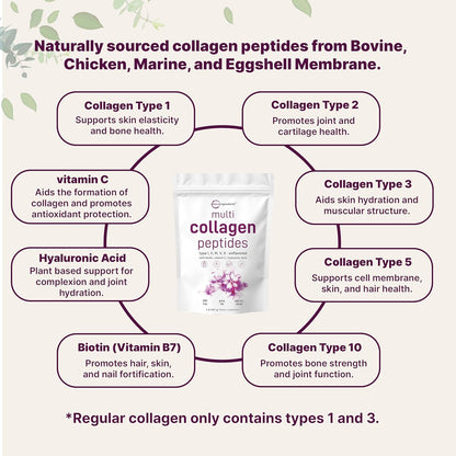 Multi Collagen Protein Powder